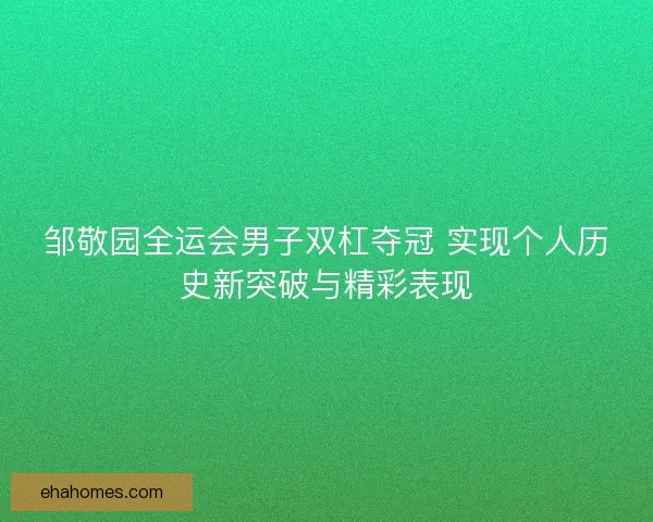 邹敬园全运会男子双杠夺冠 实现个人历史新突破与精彩表现